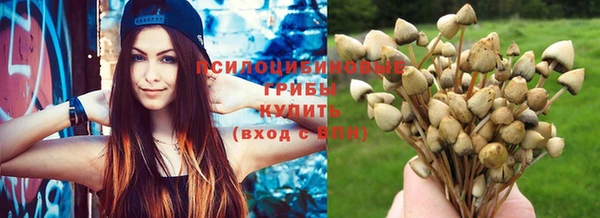 стаф Балахна