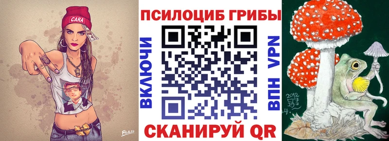 Псилоцибиновые грибы Psilocybe  Михайловск 