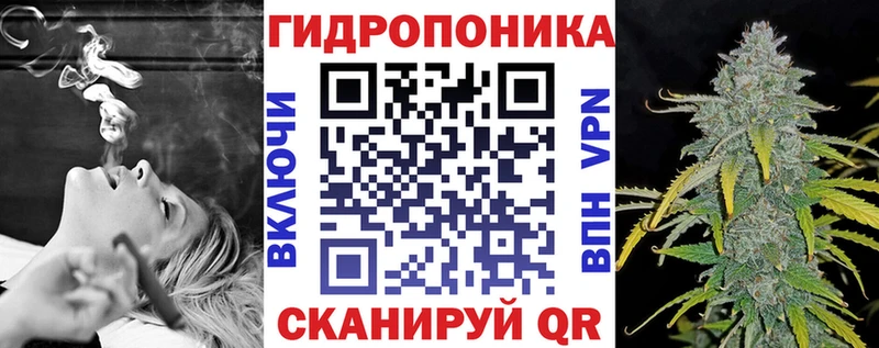 Каннабис сатива Михайловск